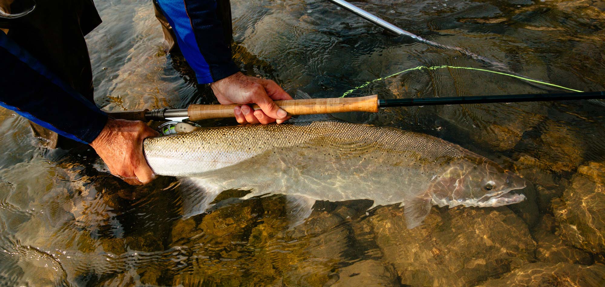 BC Steelhead Fishing - Steelhead Lodges & Camps - The Top Rivers in BC